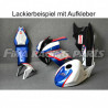 Design 028 Lackierbeispiel BMW