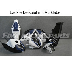 Design 051 Lackierbeispiel BMW