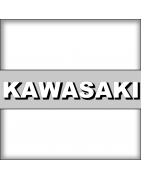 Kawasaki